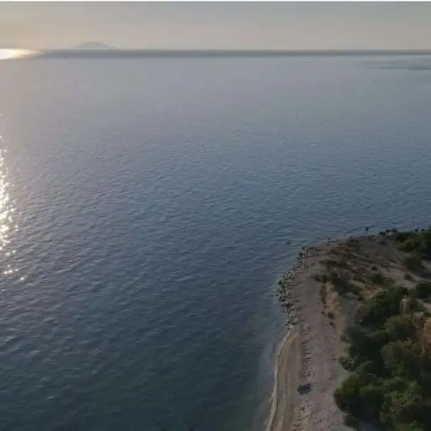 Melody_Morning_Beach